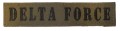 DELTA FORCE.jpg